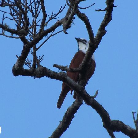 Santuario Ecologico Monteverde Eksteriør bilde