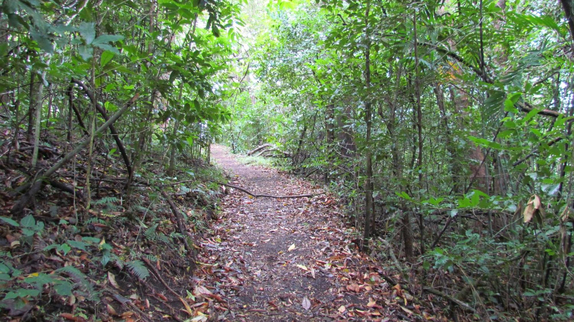 Santuario Ecologico Monteverde Eksteriør bilde