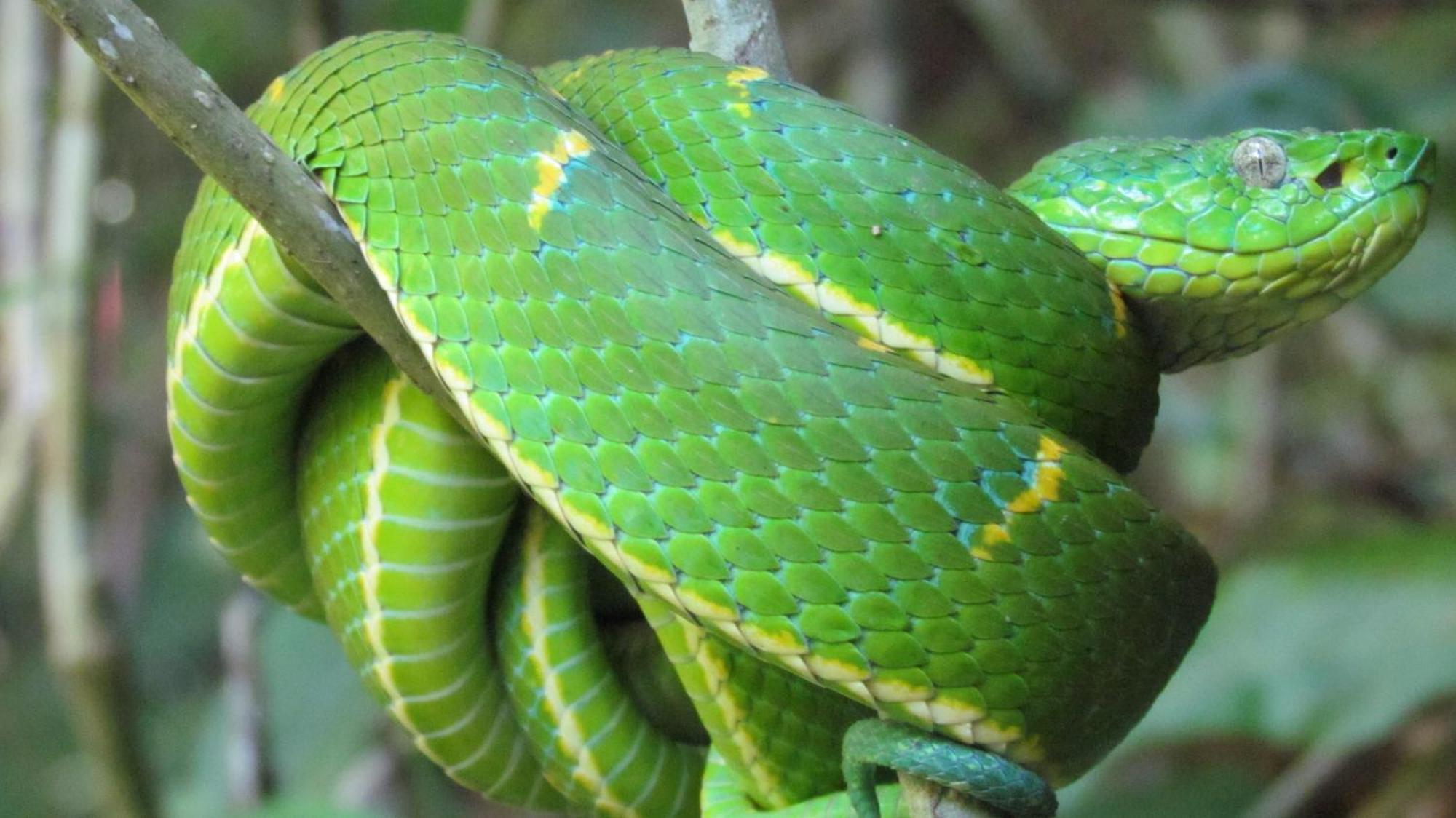 Santuario Ecologico Monteverde Eksteriør bilde