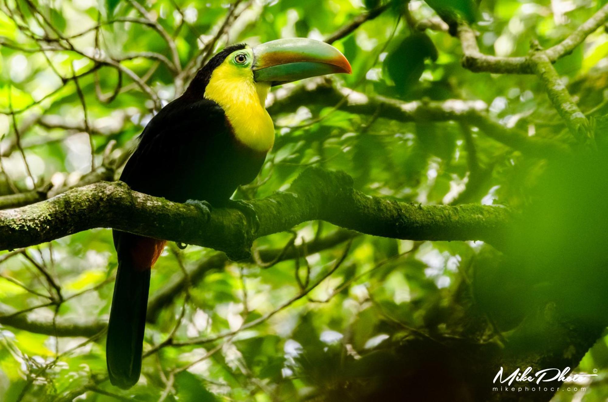 Santuario Ecologico Monteverde Eksteriør bilde