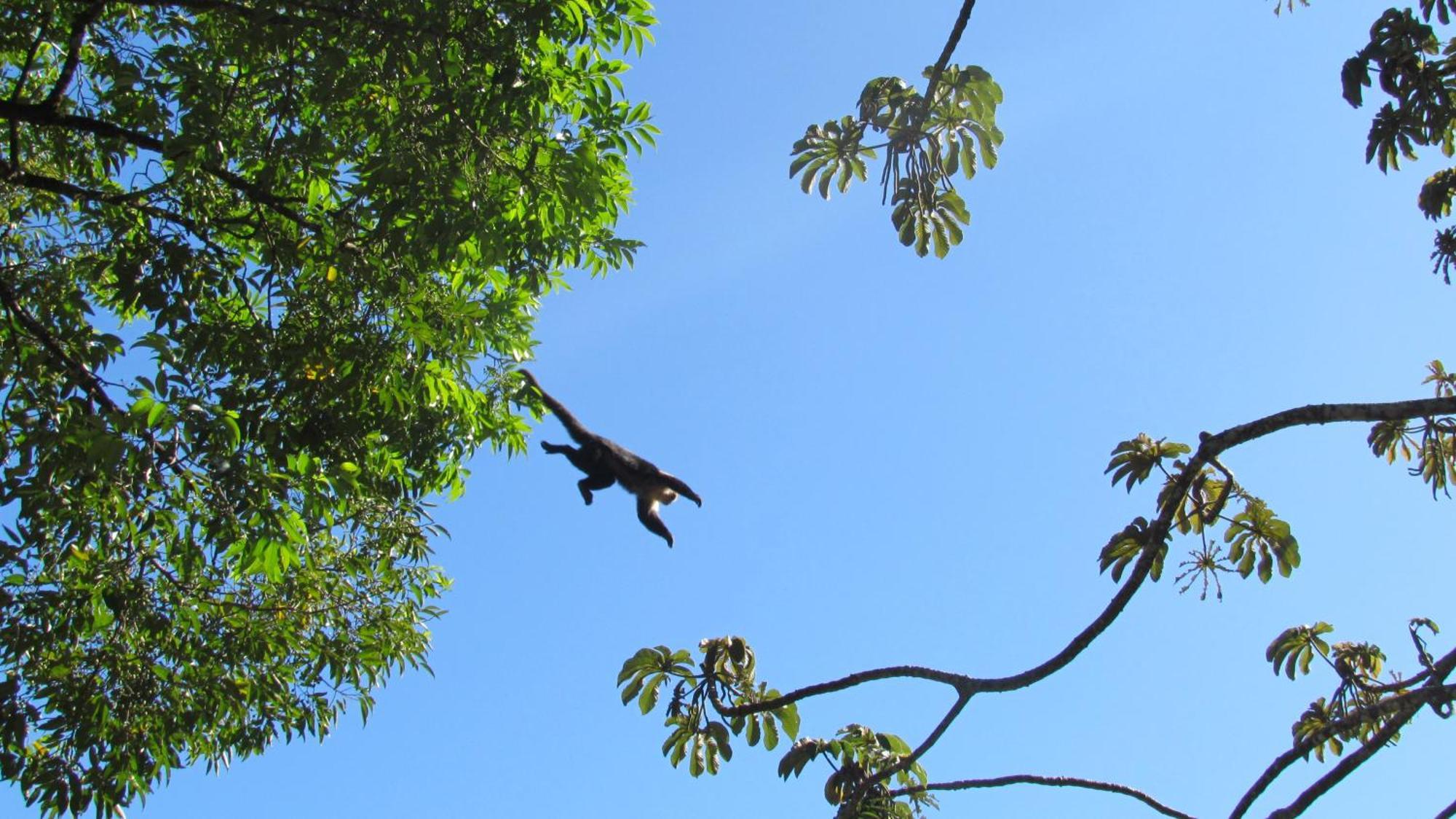 Santuario Ecologico Monteverde Eksteriør bilde