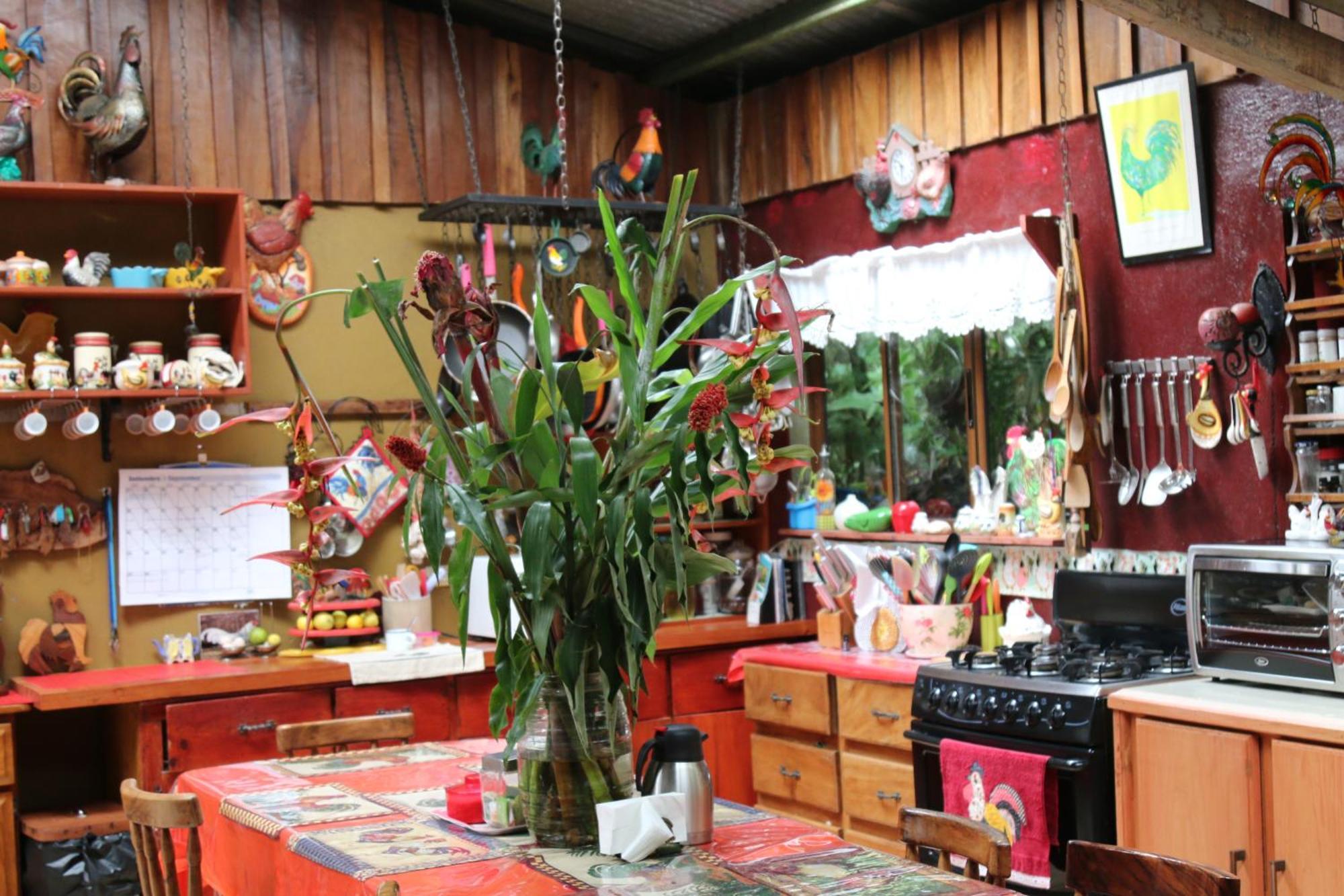 Santuario Ecologico Monteverde Eksteriør bilde